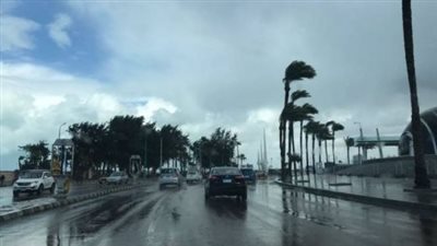 مائل للبرودة نهارا.. حالة الطقس المتوقعة اليوم الأربعاء 12 فبراير 2025 في مصر 