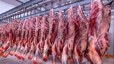 أسعار اللحوم بنوعيها البلدي والمستوردة اليوم 12_2_ 2025