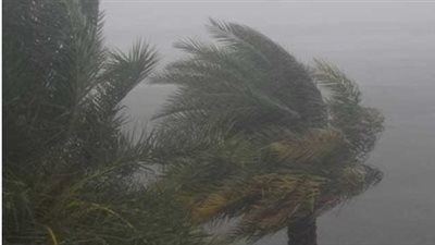 بيان بـ درجات الحرارة.. الأرصاد تعلن حالة الطقس اليوم السبت 15 فبراير 2025 في مصر 