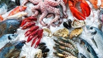  السمك والجمبري بكام؟.. سعر السمك البلطي الكبير اليوم 15_2_2025