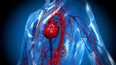 أسباب تؤدي إلى زيادة نسبة الإصابة بأمراض القلب