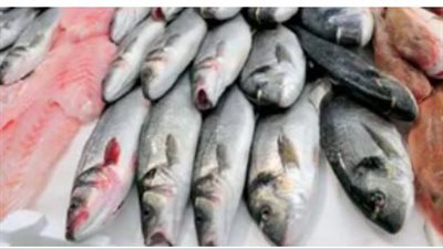  أسعار السمك والجمبري اليوم الاثنين 17 فبراير 2025