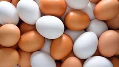 أسعار البيض اليوم الإثنين 17_2_2025
