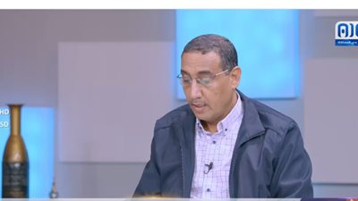 عديل الطهيش: قوى في الشرعية اليمنية تتجنب مواجهة الحوثي وتركز على زعزعة أمن واستقرار جنوب اليمنن (فيديو)