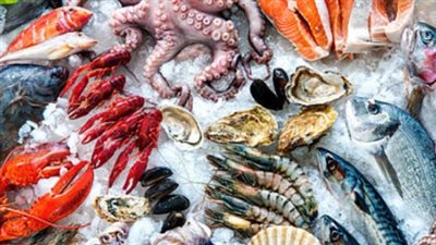  أسعار الأسماك والمأكولات البحرية اليوم الخميس 13_2_2025