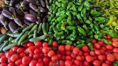 أسعار الخضروات والفاكهة في سوق العبور اليوم 13_2_2025