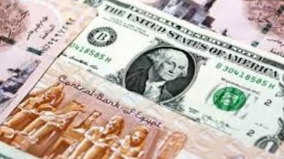  أسعار الدولار الأمريكي أمام الجنيه المصري اليوم الأربعاء 19-2-2025
