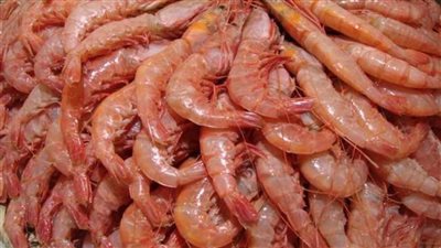  أسعار السمك والجمبري داخل سوق العبور في بداية تعاملات اليوم السبت 22 فبراير 2025