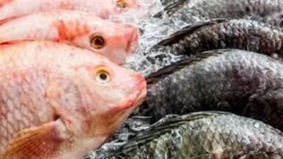  أسعار السمك والجمبري اليوم 25_2_2025