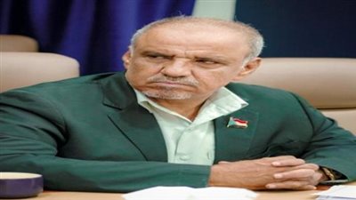 السعدي: القوى المعادية قد أدركت استحالة عودتها إلى جنوب اليمن عسكريا وعلى رأسها المليشيات الحوثية