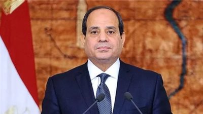  السيسى ورئيسة مجلس النواب القبرصى يؤكدان ضرورة احترام سيادة الدول وسلامتها