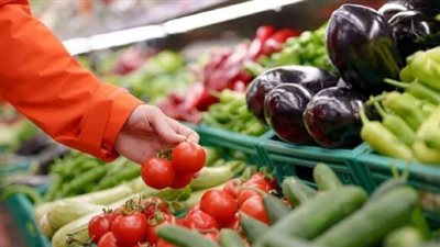أسعار الخضروات في سوق العبور اليوم الاربعاء 26 فبراير 2025