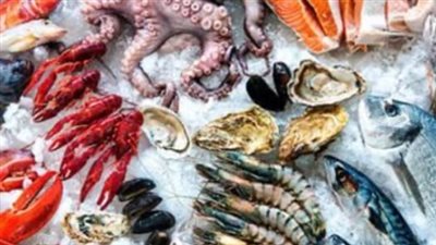 أسعار السمك والجمبري في مصر اليوم 26_2_2025