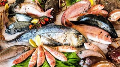 أسعار الأسماك اليوم الخميس 27_2_2025.. الجمري بكام؟