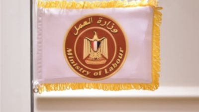 وزارة العمل المصرية توفر 14 وظيفة في لبنان براتب 750 دولارا