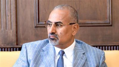 كيف تجسد توجيهات 