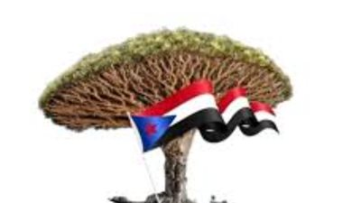 #اللغه_السقطريه_ارث_جنوبي هاشتاج يتصدر مواقع التواصل.. وسياسيون: اللغة السقطرية موسوعة حية 