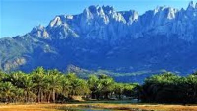 باعتبارها تراث جنوبي حي.. كيف تحظى اللغة السقطرية باهتمام من القيادة الجنوبية؟