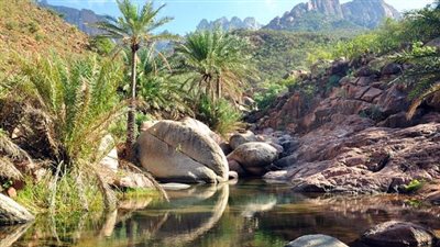 رغم حرب الخدمات التي تعرض لها الجنوب العربي.. كيف استطاعت اللغة السقطرية أن تصمد ويتوارثها الأجيال؟