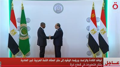 الرئيس السيسى يستقبل الوفود المشاركة بالقمة العربية الطارئة (بث مباشر)
