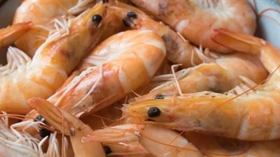  أسعار السمك والجمبري اليوم 4_3_2025