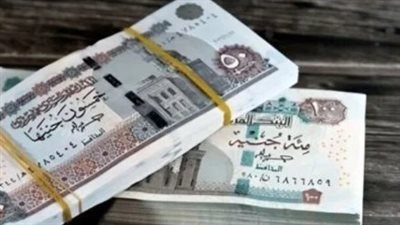 كيفية الاستعلام عن معاشات شهر أبريل 2025 (رابط)