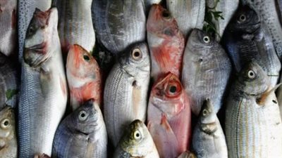  أسعار السمك والجمبري في بداية تعاملات اليوم السبت 8 مارس 2025 