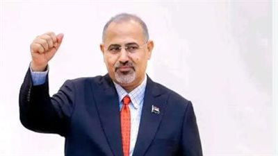 بتوجيهات الزُبيدي.. وصول سفينة تحمل شحنة الديزل الخاصة بكهرباء عدن 