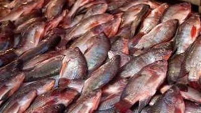  أسعار السمك والجمبري اليوم الأحد 9 مارس 2025 تاسع أيام شهر رمضان