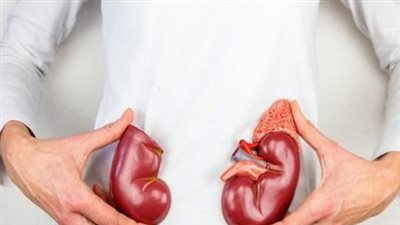 عادات صحية للحافظ على الكليتين