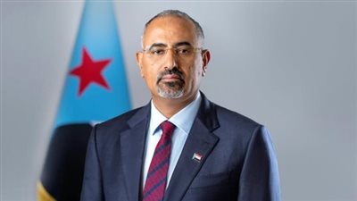 كيف تعتبر جولات الزبيدي الداخلية إلى محافظات الجنوب خريطة طريق لـ 