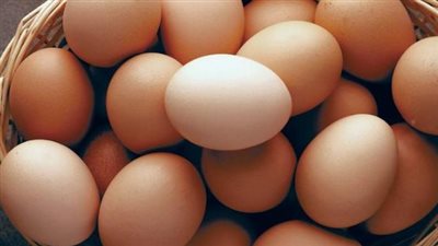 سعر كرتونة البيض الأبيض والأحمر اليوم 12_ 3_ 2025