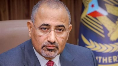 أهمية زيارات 