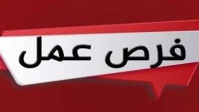 وزارة العمل المصرية توفر وظائف جديدة في لبنان.. براتب 25 ألف جنيه