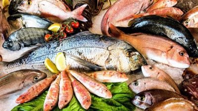  أسعار السمك والجمبري في بداية تعاملات اليوم السبت 15 مارس 2025