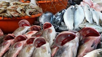  أسعار السمك والجمبري اليوم الأحد 16 مارس 2025