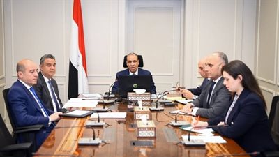 وزير الخارجية والهجرة يعقد اجتماعًا افتراضيًا مع سفراء مصر بالخارج