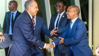 وزير الخارجية يصل إلى تنزانيا