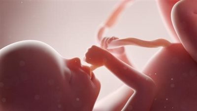 زكاة الفطر على الجنين في بطن أمه هل هي واجبة؟