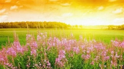 موعد نهاية فصل الشتاء وبداية فصل الربيع