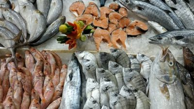 أسعار الأسماك والجمبري في صباح تعاملات اليوم الخميس 20 مارس 2025