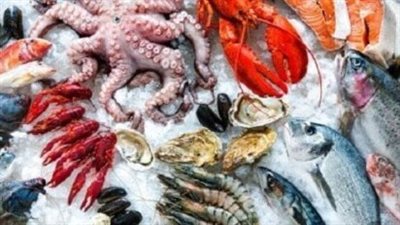  أسعار السمك والجمبري في بداية تعاملات اليوم الإثنين 24 مارس 2025