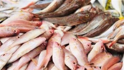  أسعار السمك والجمبري في بداية تعاملات اليوم الأحد 23 مارس 2025