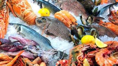  أسعار السمك والجمبري اليوم الأربعاء 26 مارس 2025 