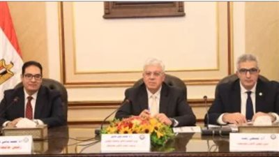 الأعلى للجامعات يوافق على إنشاء فروع لجامعة الإسكندرية بالرياض والعراق واليونان