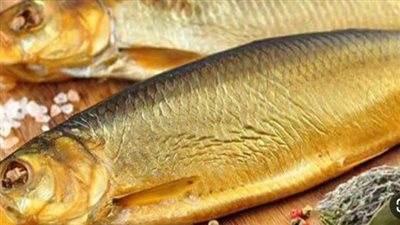 أسعار الفسيخ والرنجة في شم النسيم 2025