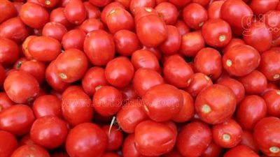  أسعار الخضروات والفاكهة اليوم في مصر.. سعر الطماطم من 3 إلى 5.5 جنيه