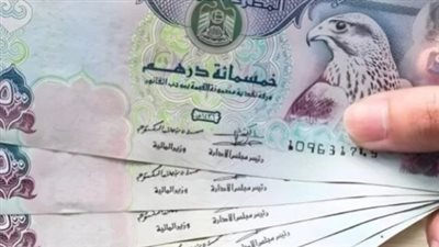 سعر الدرهم الإماراتي في البنك المركزي المصري اليوم 2_4_2025
