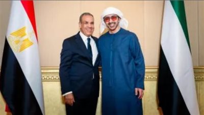 وزير الخارجية المصري يبحث مع نظيره الإماراتى خفض التصعيد فى المنطقة
