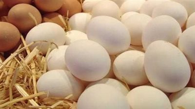 أسعار البيض اليوم السبت 12 أبريل 2025
